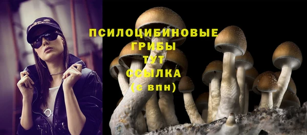 героин Алзамай