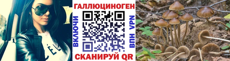 Псилоцибиновые грибы Psilocybe Красноуральск
